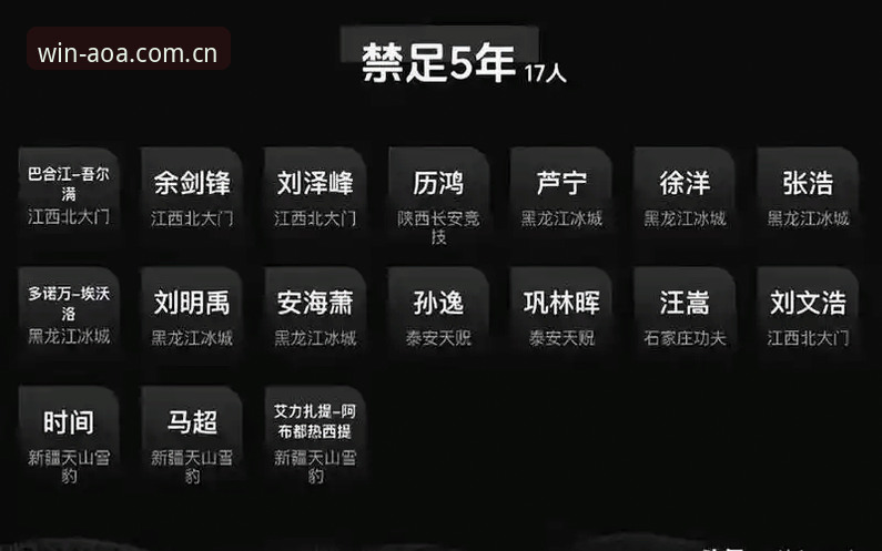 AOA体育用户指南 中国足协第三批禁足名单解读指南——AOA体育用户深度分析